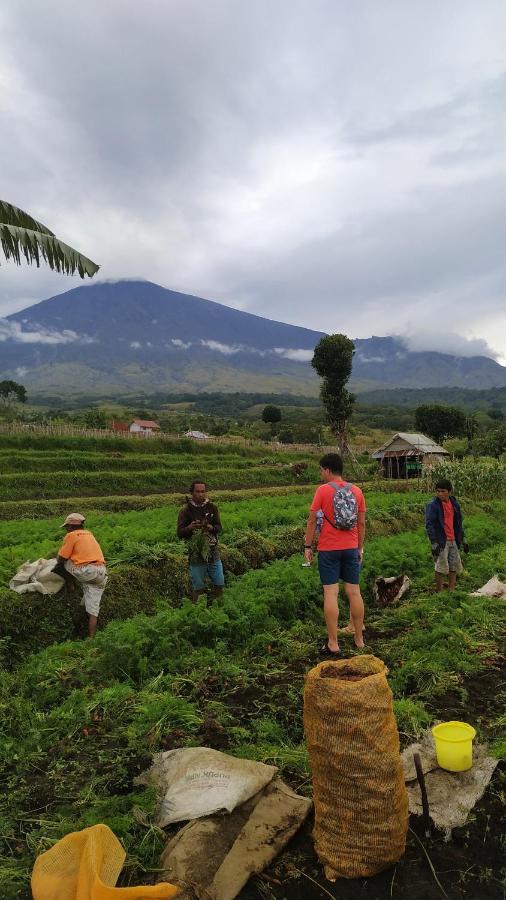 Family Rinjani Bungalow Sajang Esterno foto