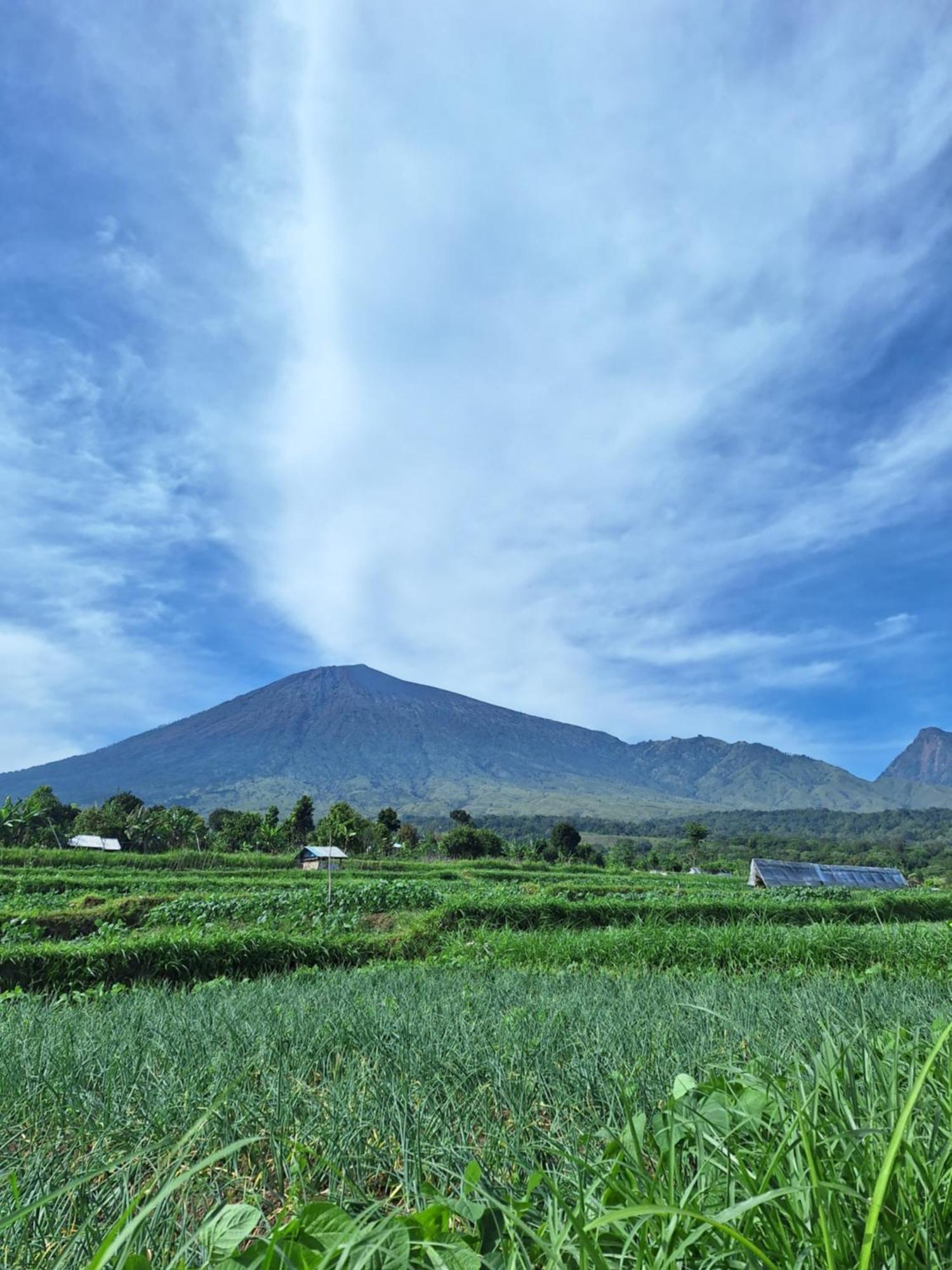 Family Rinjani Bungalow Sajang Esterno foto